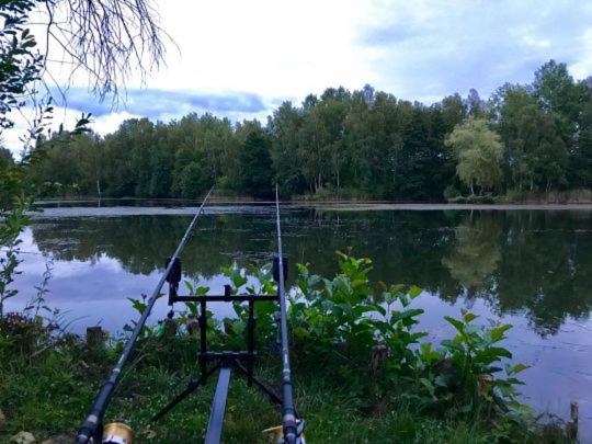 Ruhepol Fuer Mensch & Tier In Der Lueneburger Heide Lejlighed Vierhofen Eksteriør billede